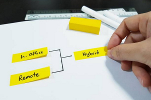 Hybrid Working