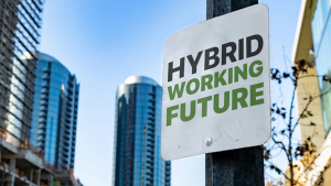 Hybrid working di bounche