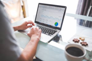Profesi SEO Specialist