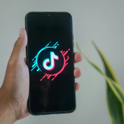 followers tiktok