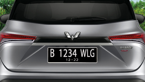 plat s
